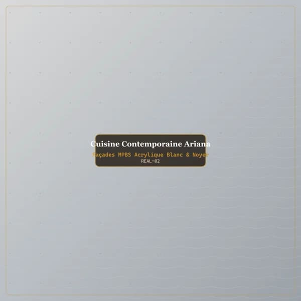Cuisine Contemporaine Ariana